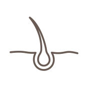 tricologia em Belém
